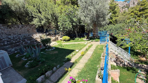 A garden with stone walls, a variety of plants, and a blue metal gate.