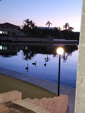 A calm water body with swans, a lamp post, and a building in the background. - Mandurah Holiday Apartments ‘Pelican’ (Dudley Park)