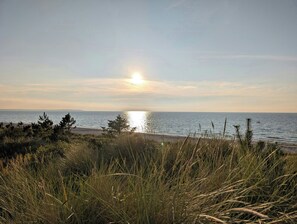 A coastal landscape with a beach, grass, and the ocean. - Modern oasis in the middle of the forest in Rørvig (Rørvig)