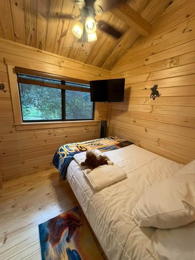 Une pièce de cabane en bois comprenant un lit, une fenêtre, un ventilateur de plafond et un téléviseur fixé au mur.