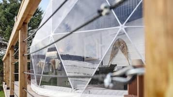 A transparent geodesic dome structure with a wooden deck in the foreground.