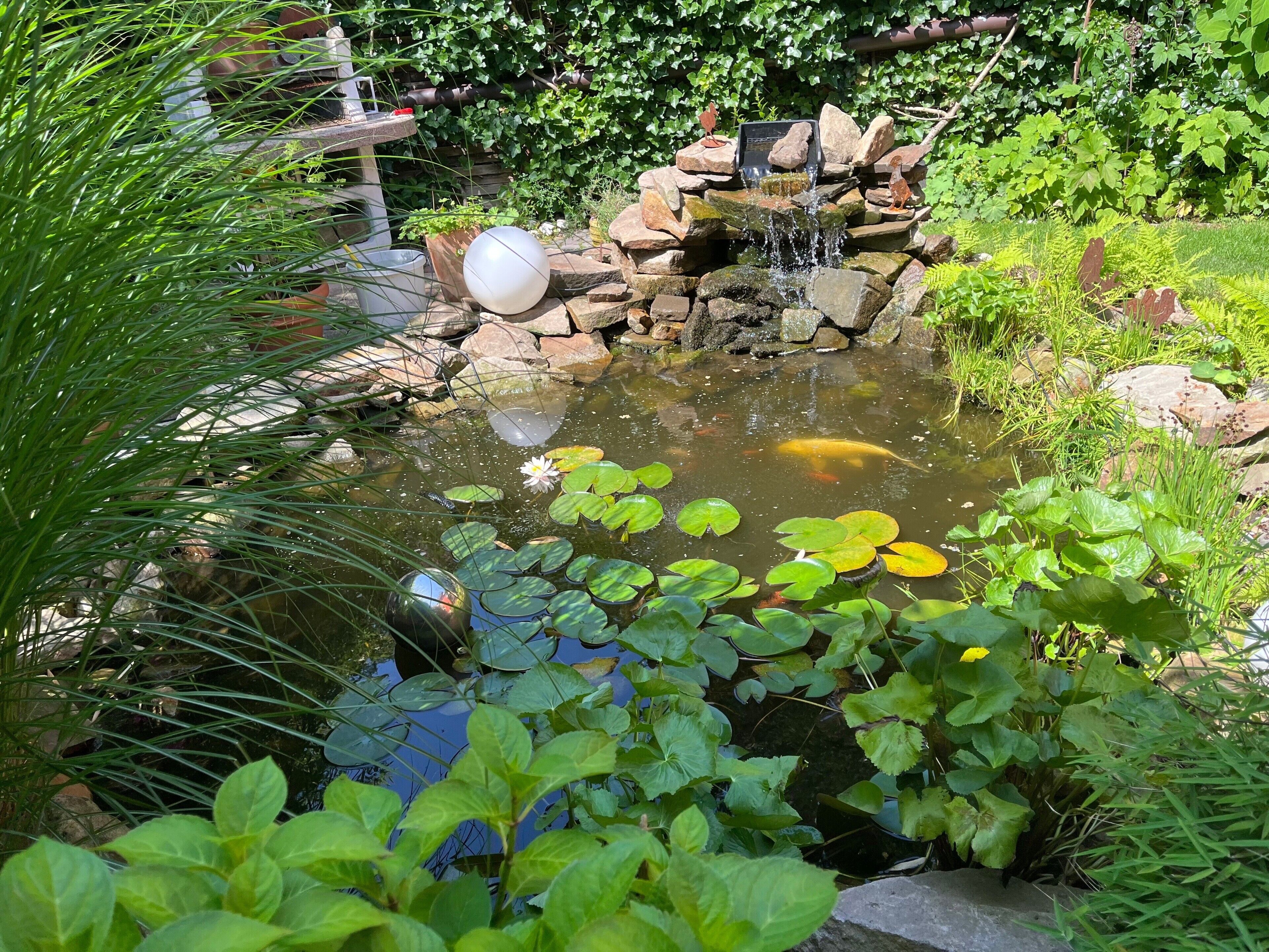 Parco della struttura