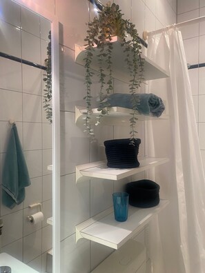 Dusche, Haartrockner, Handtücher