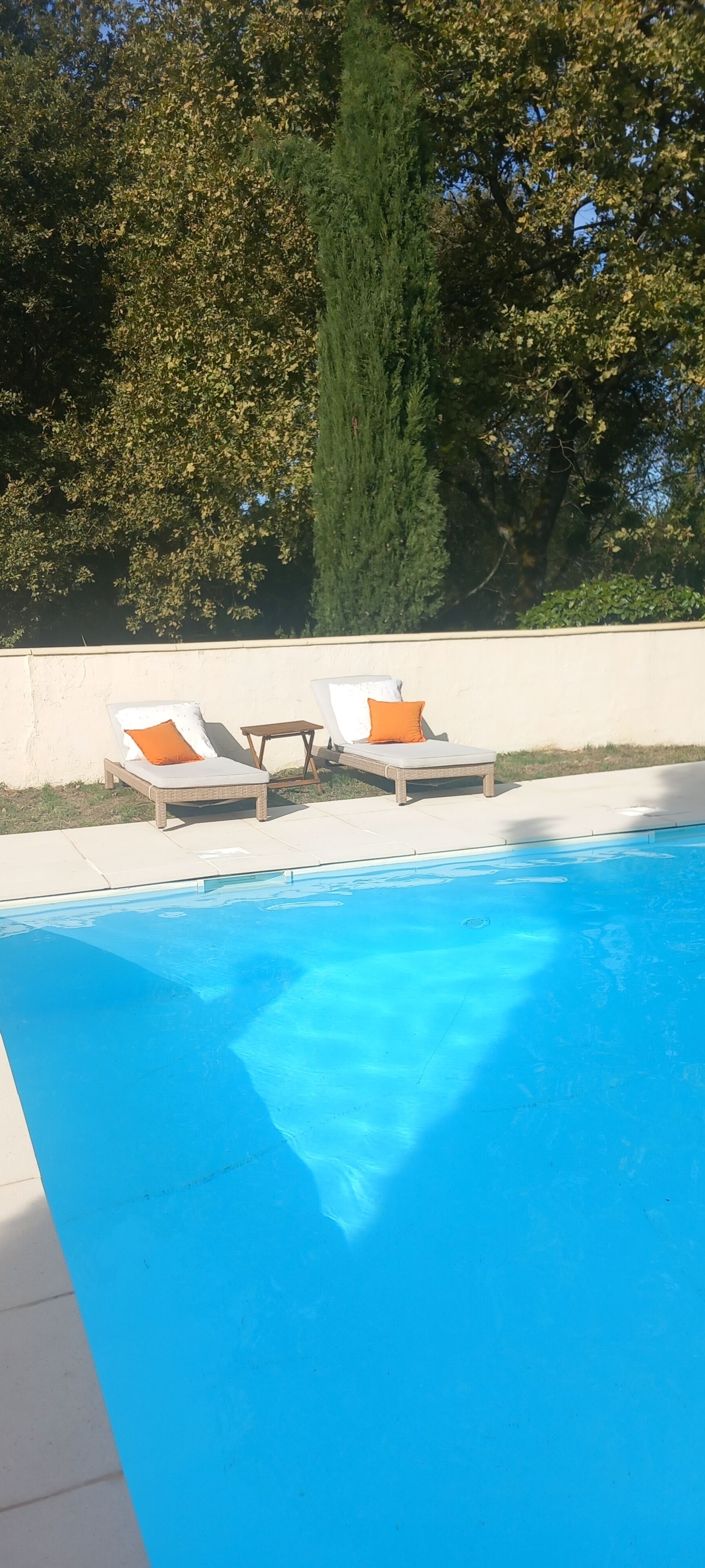 A swimming pool with two lounge chairs and a tall tree in the background.