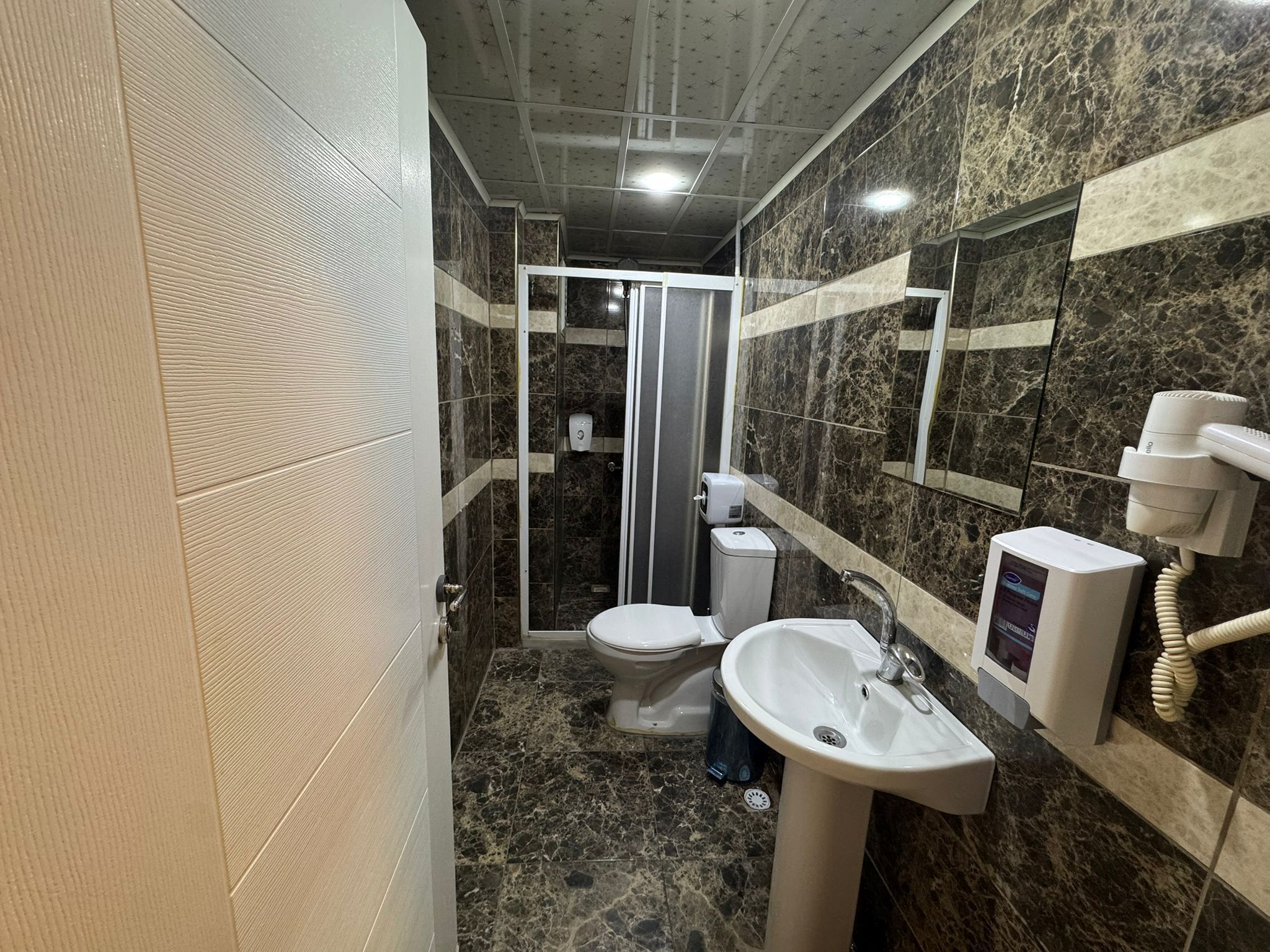Une salle de bain comprenant des toilettes, un lavabo et un espace douche.