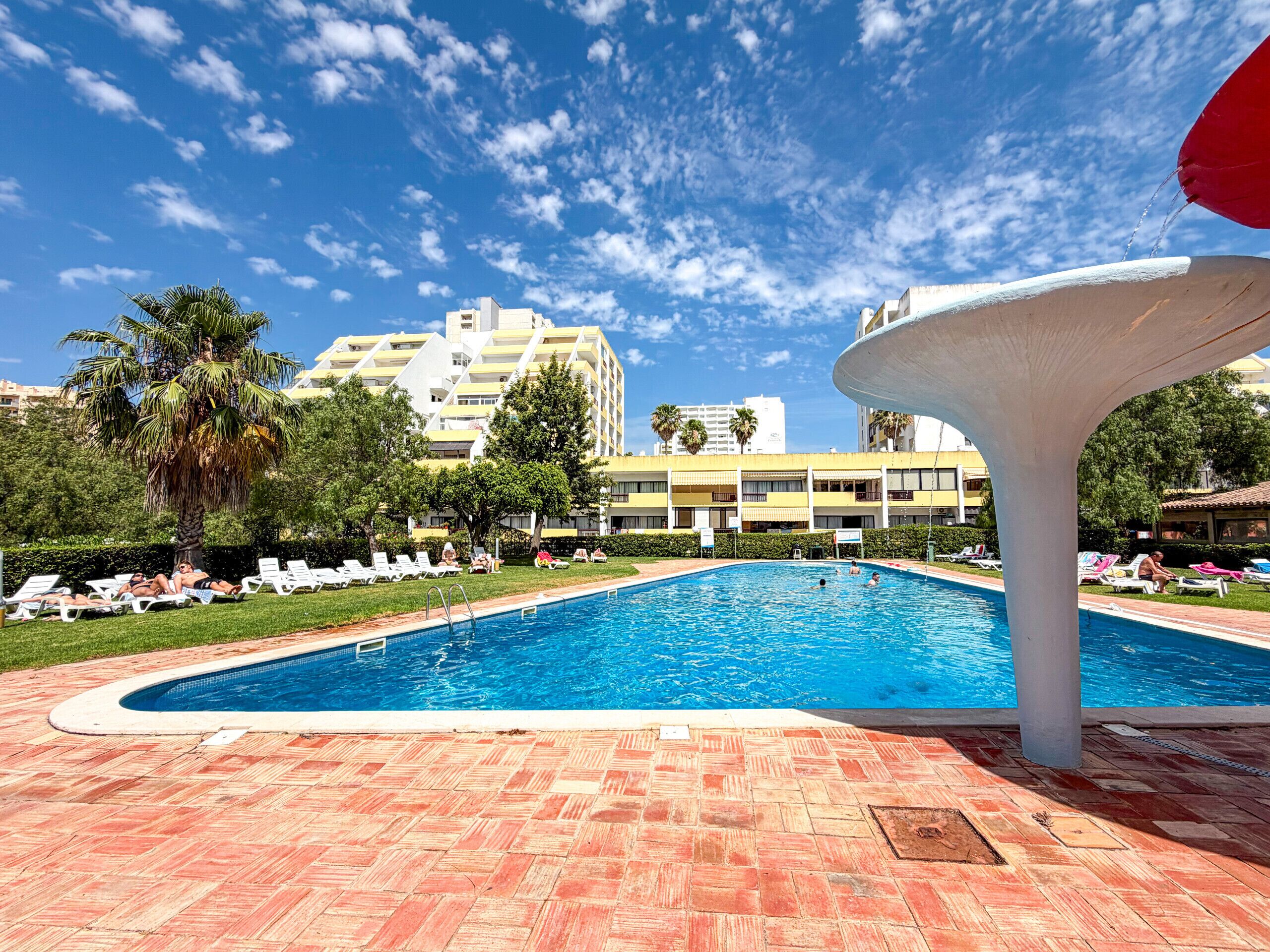 A swimming pool with a tiled deck, surrounded by lounge chairs and palm trees.