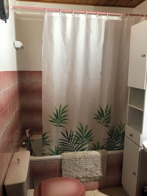 Bathroom - EYNE 66800: Apartment rental for 4 people at the base of the slopes and hiking trails (Eyne)