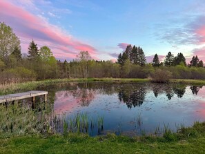 Ein ruhiger See mit einer Holzsteg, umgeben von dichten Bäumen und viel Grün.