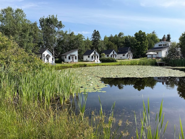 A row of white cottages with a pond in the foreground.