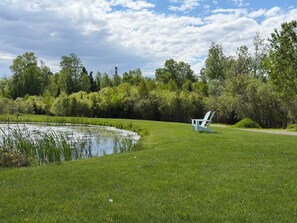 A grassy area with a pond and a white chair.