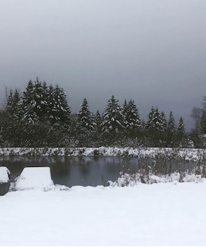 Un paisaje nevado con un cuerpo de agua, árboles y suelo cubierto de nieve.