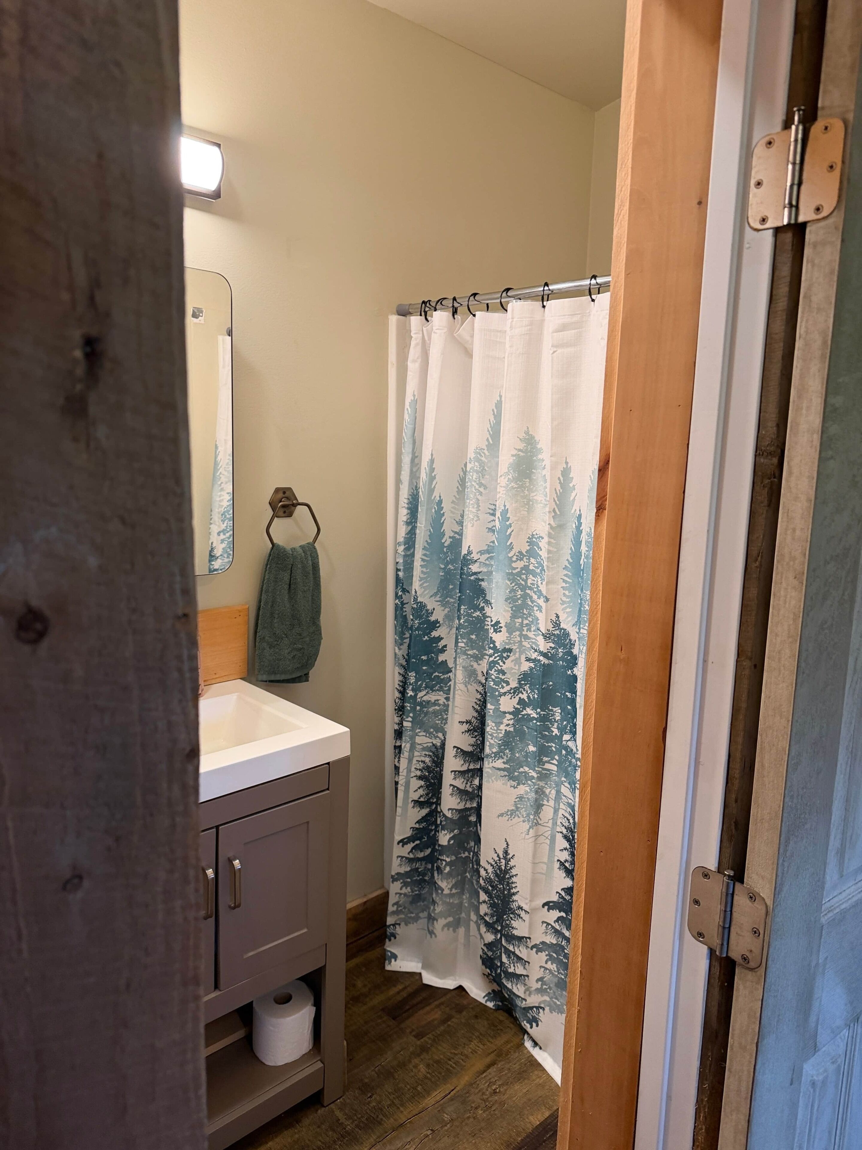 Hair dryer, towels