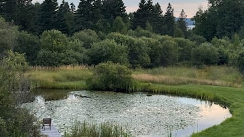 A pond with a wooden dock and chairs, surrounded by grass and trees.
