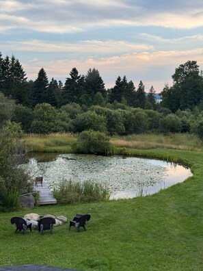 A pond with a wooden dock and chairs, surrounded by grass and trees. - The Lupine | Cross Stone Cabins • Walk to Rangeley Lake (Rangeley)