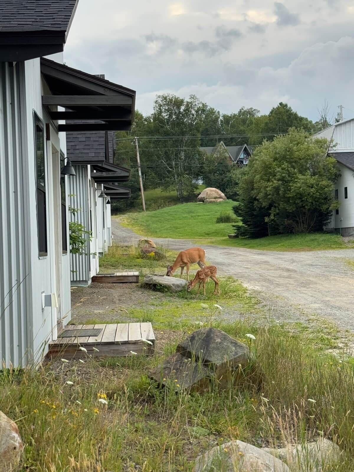 Paisatge rural amb una casa, una entrada de grava i dues faenes brossant.