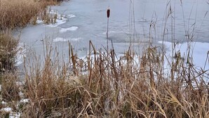 A frozen lake with houses in the background.