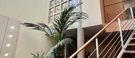 A modern interior with a staircase, a skylight, and indoor plants.