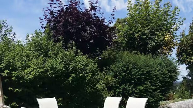 Un espacio al aire libre con mesa y sillas, rodeado de follaje y una roca.