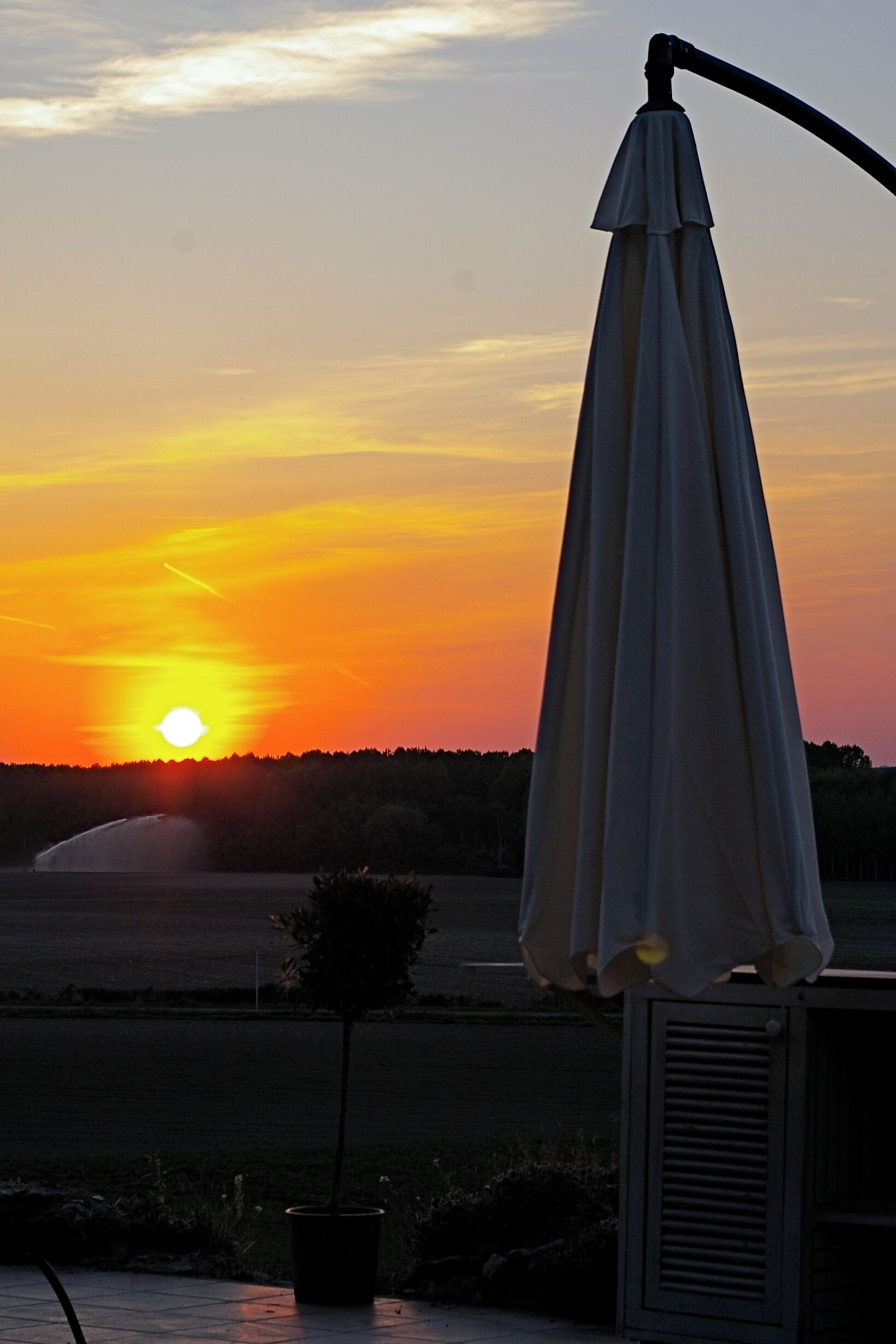 Un coucher de soleil avec un soleil bien visible, une plante en pot et un parasol blanc.