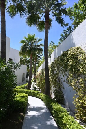 A pathway flanked by palm trees and a white wall with climbing plants. - Casa Panorama Cortesin, luxury apartment with ocean and golf course views (Casares)