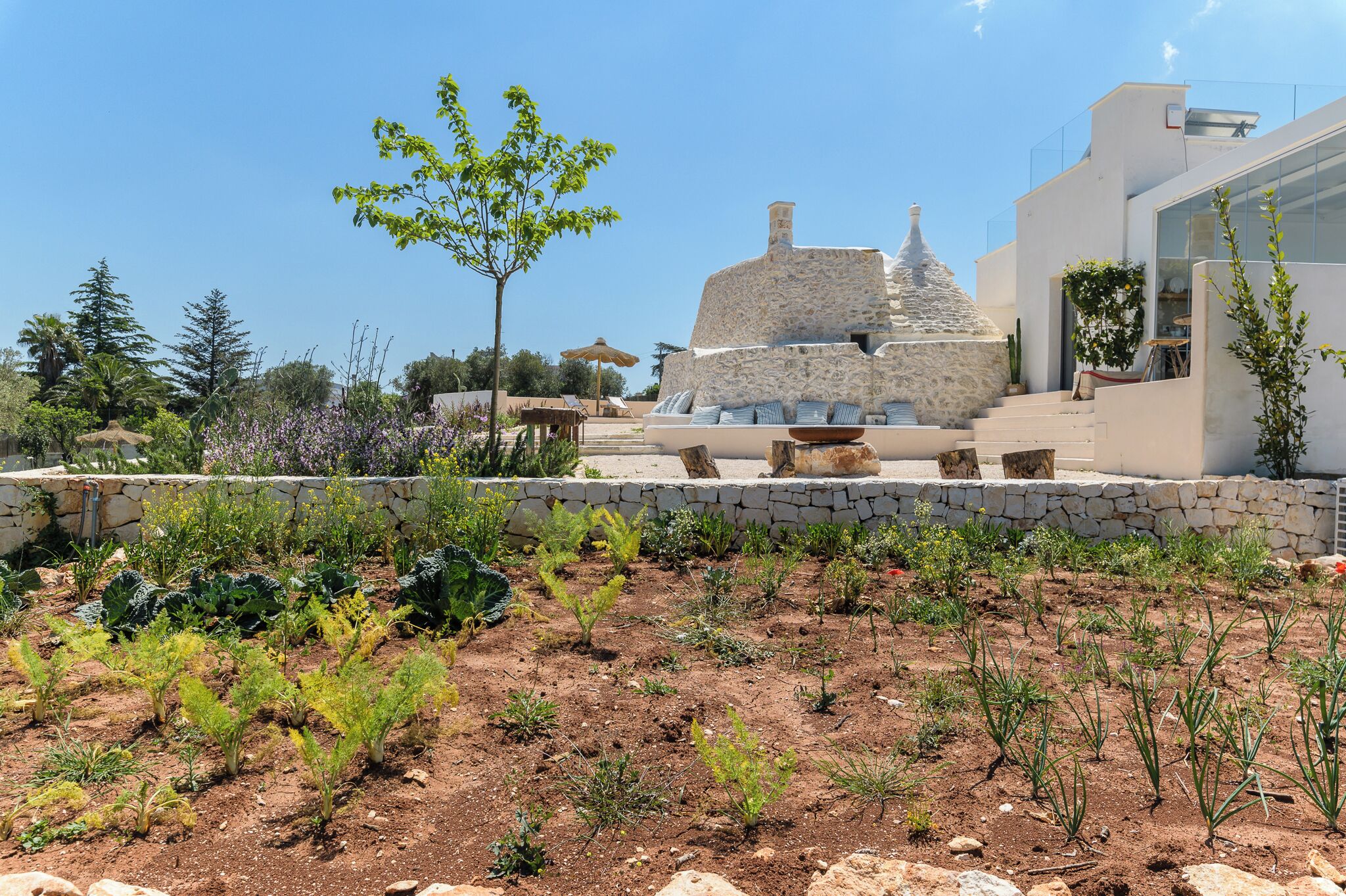 A stone building with a modern design, surrounded by a garden with various plants and a clear sky.