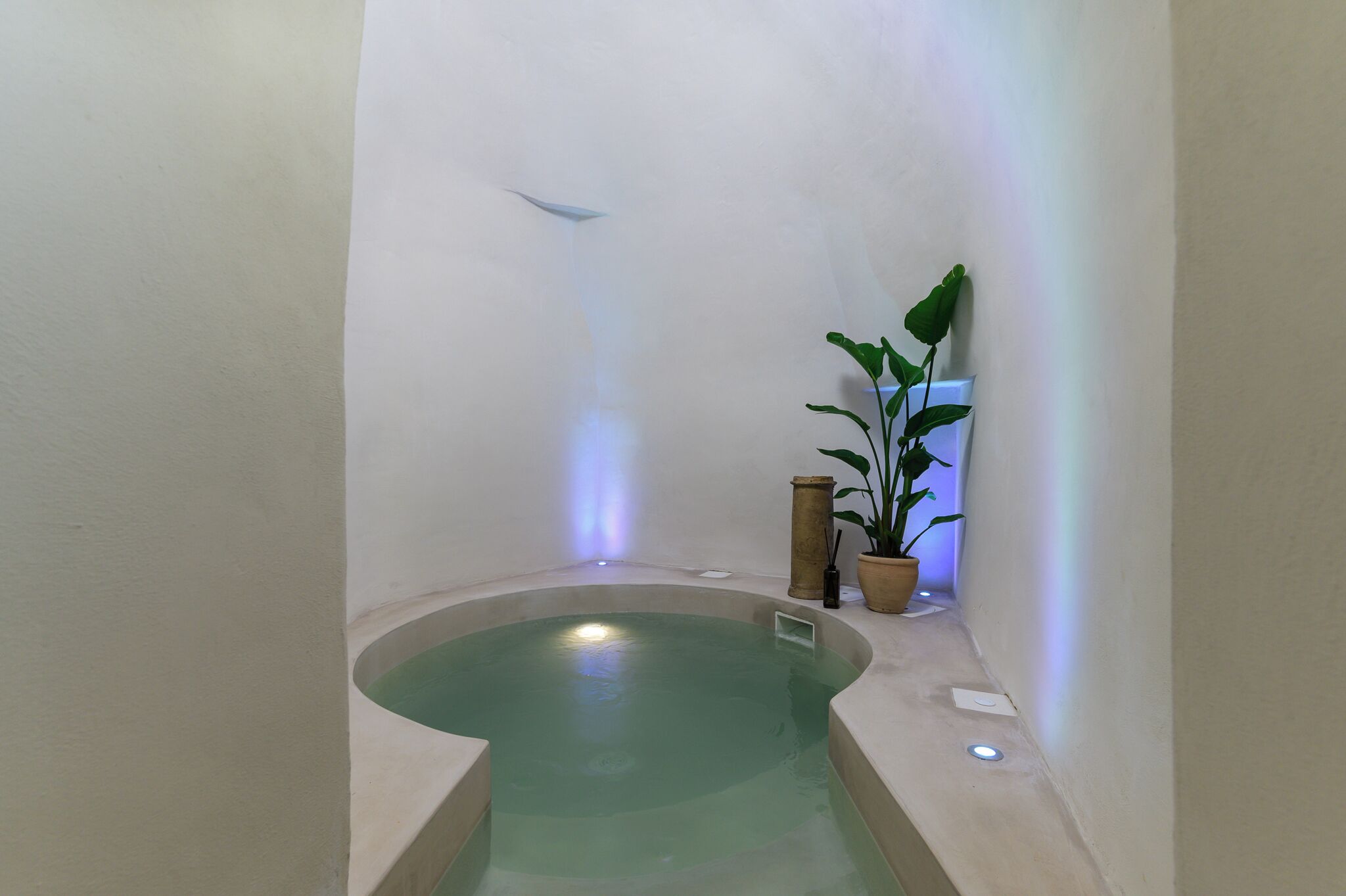 Luxury Suite, Private Pool | Bathroom | Shower, free toiletries, hair dryer, slippers