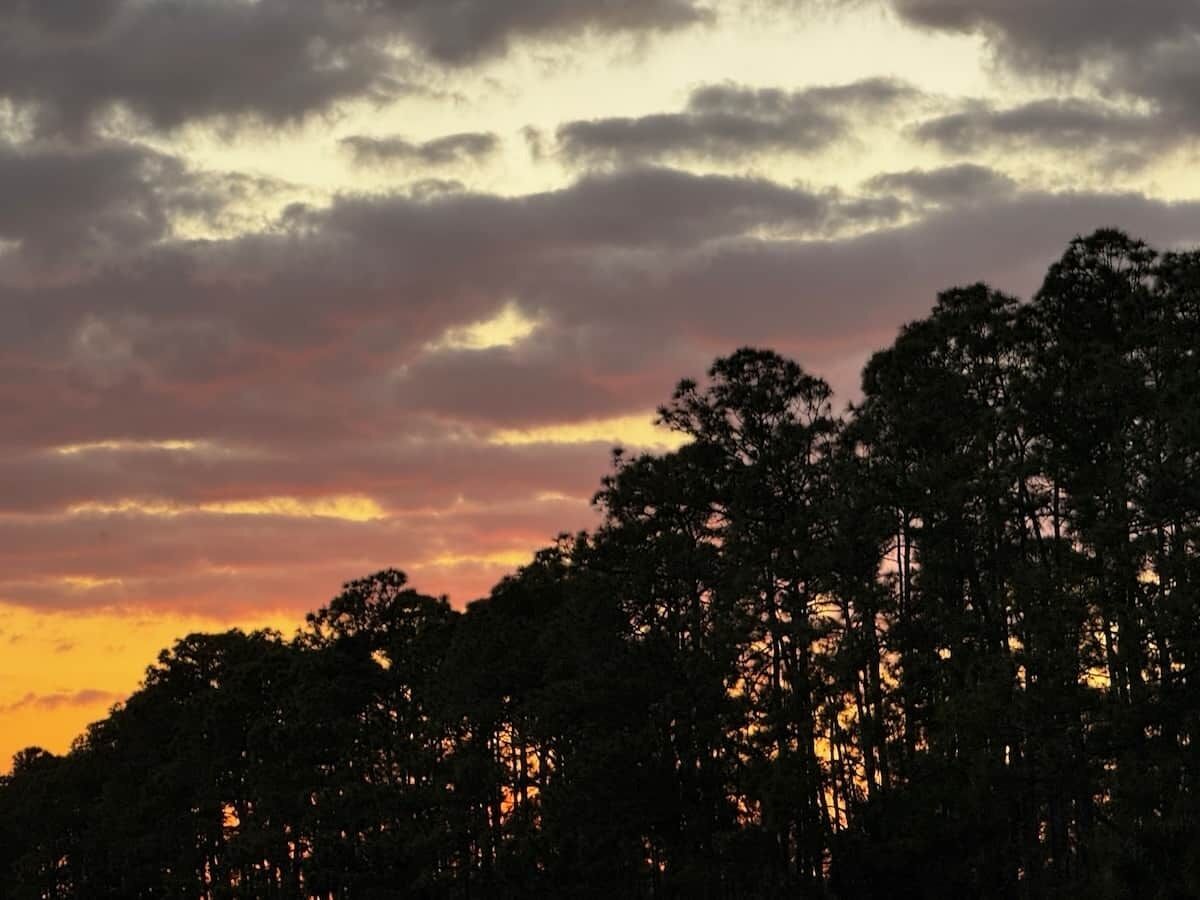 Un paisaje boscoso con un cielo al atardecer.