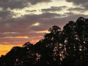 A forested landscape with a sunset sky.