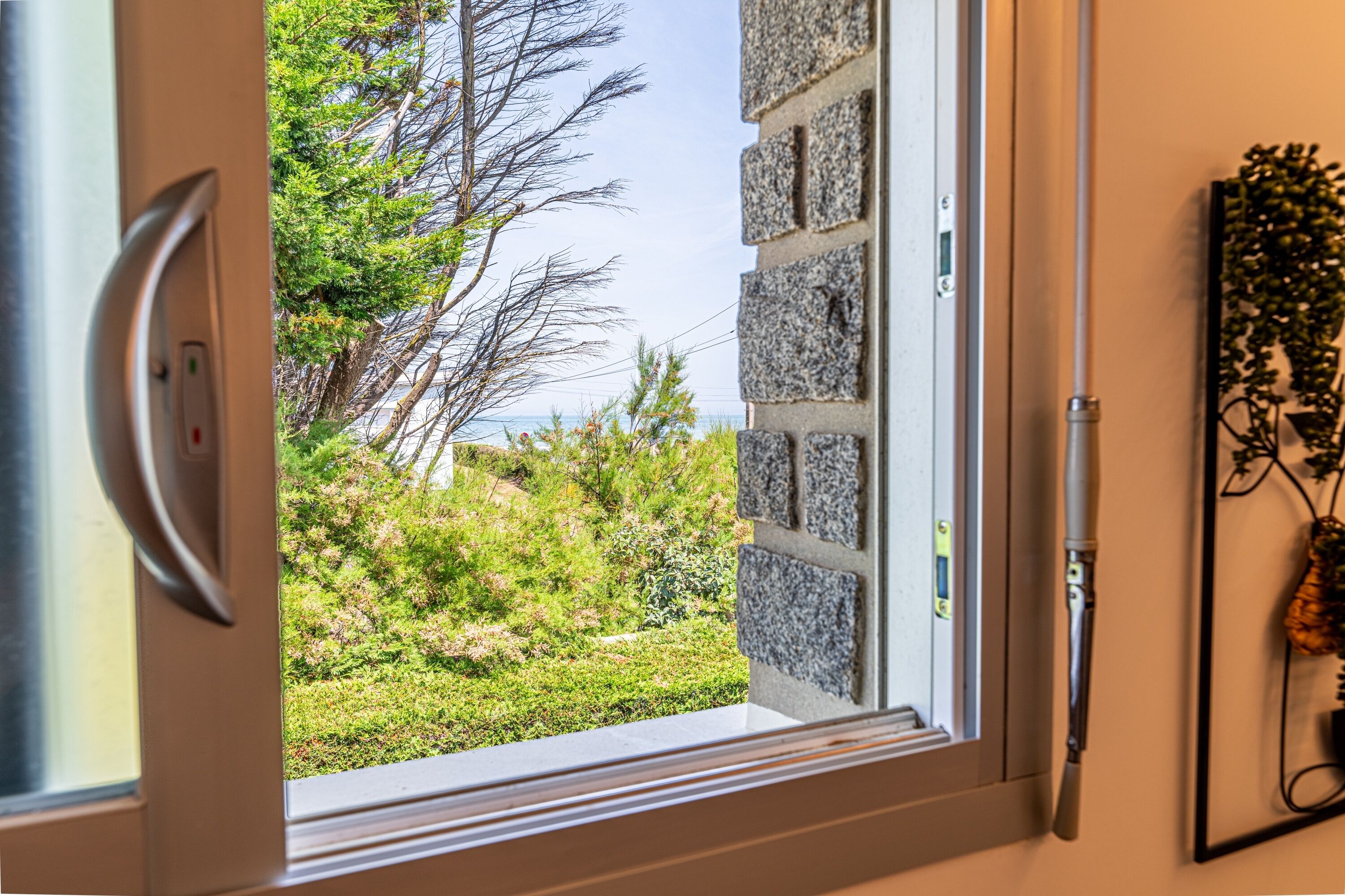 A window with a view of a garden and a clear sky.