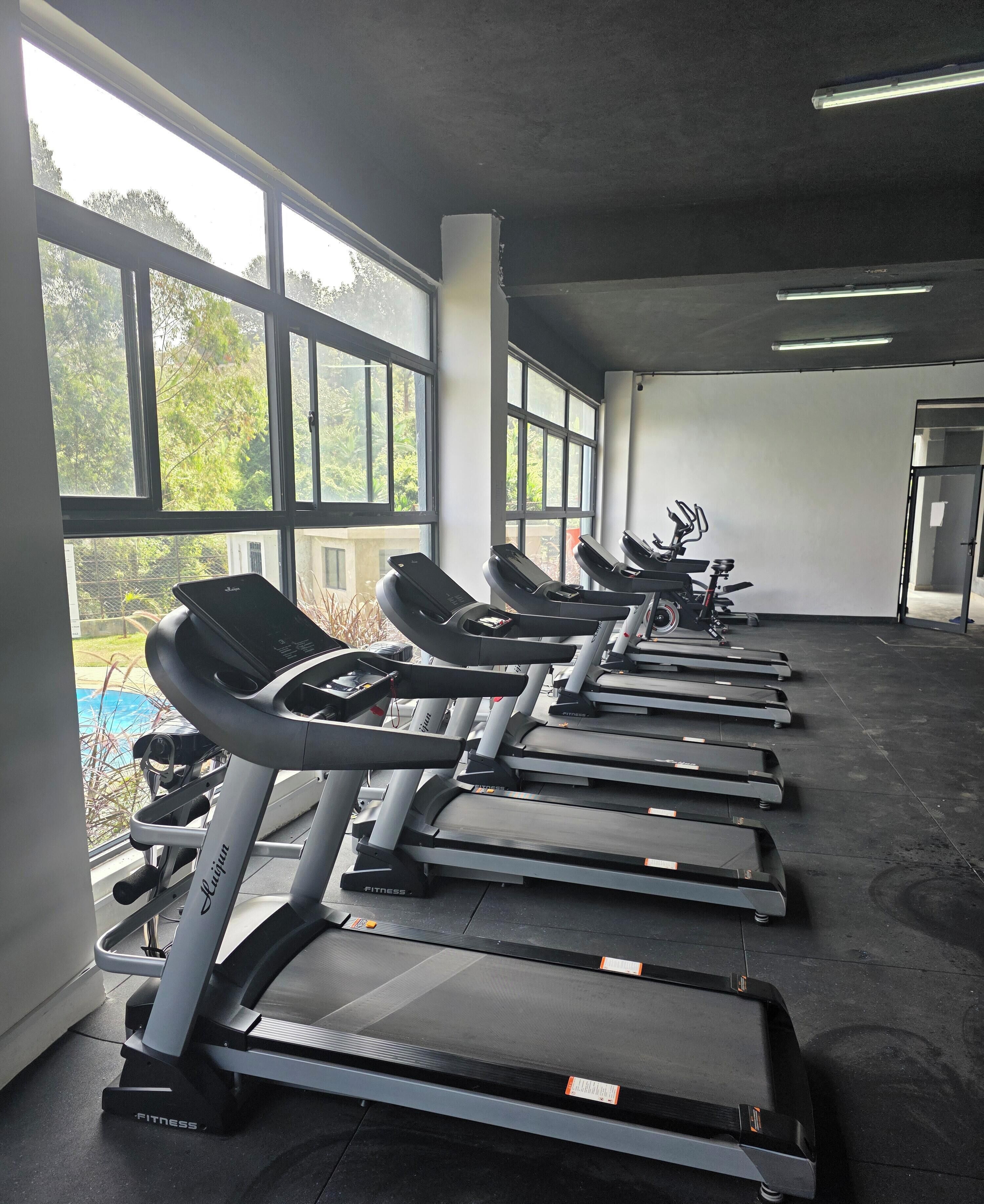 A gym with multiple treadmills aligned in rows, large windows, and a view of greenery outside.