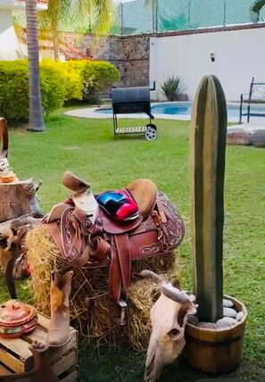 A rustic outdoor setting with a horse, a saddle, and a cactus.