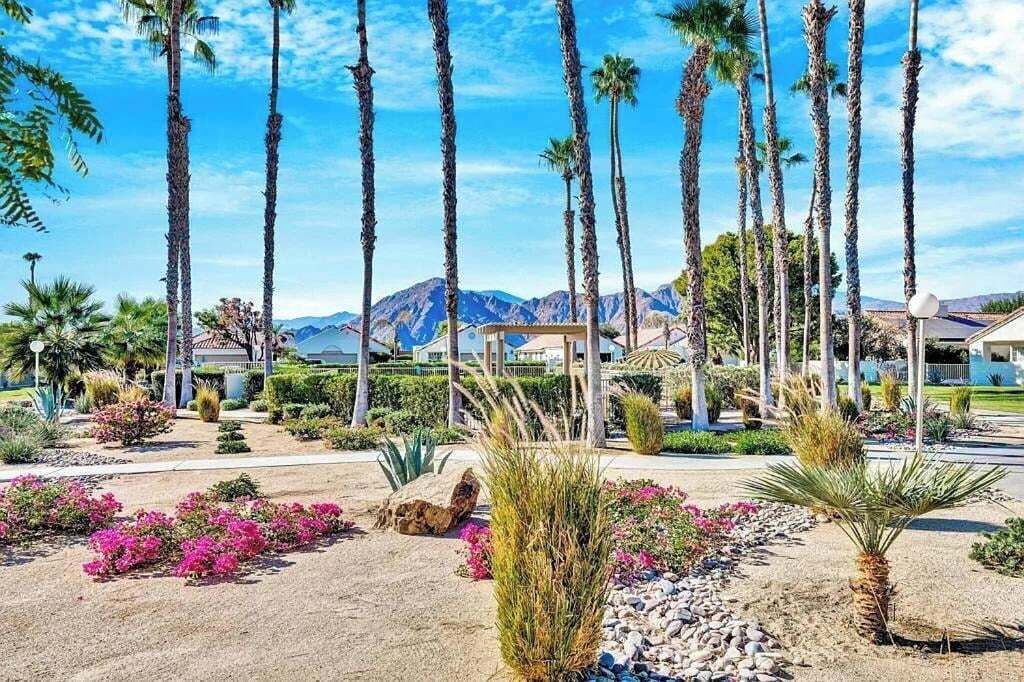 A landscaped garden with tall palm trees, a variety of shrubs, and a clear view of mountains in the background.