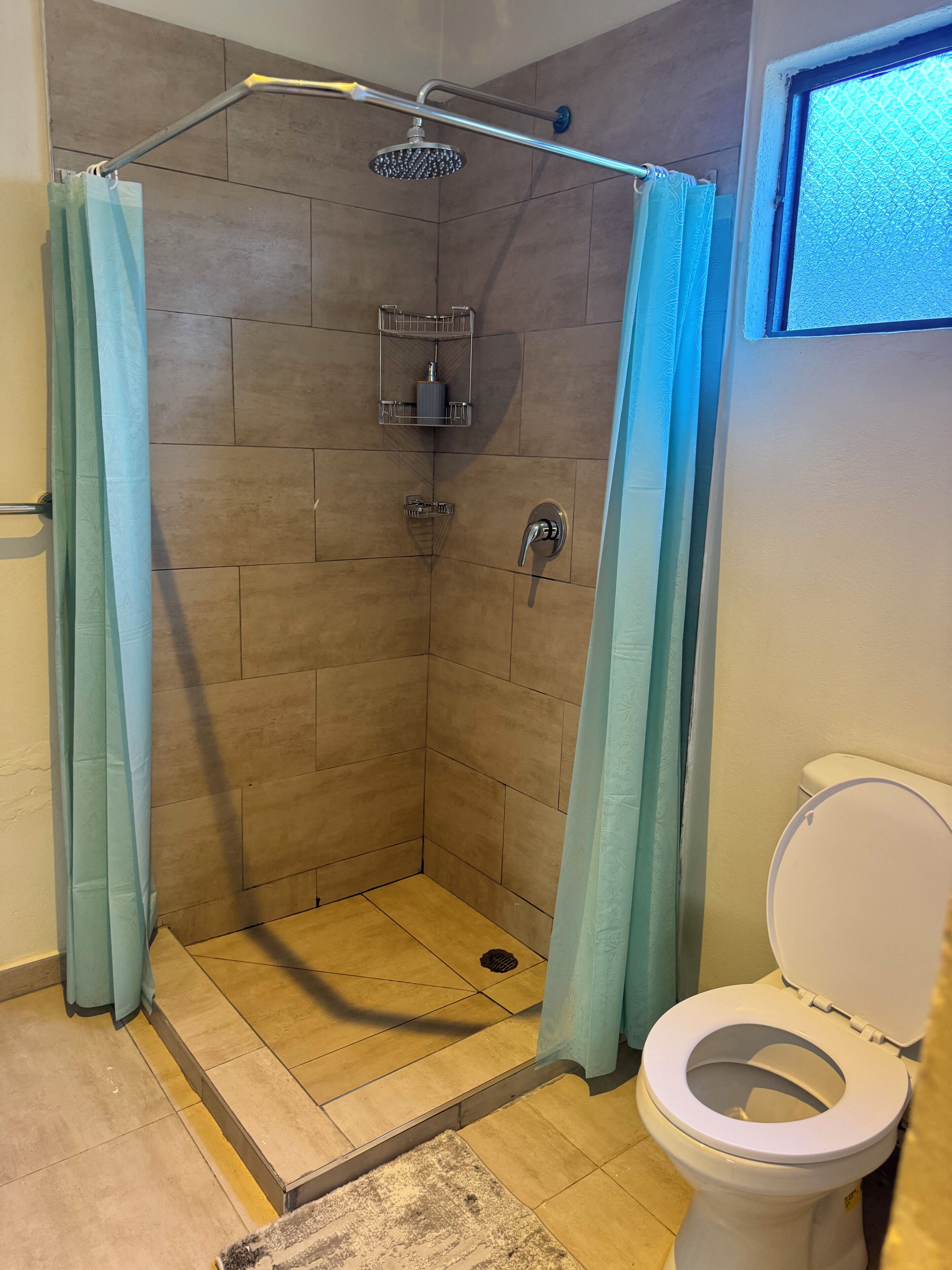Brusebad med håndbruser, toilet og badeforhæng.