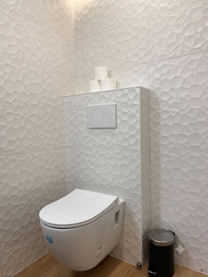 Douche, articles de toilette (gratuits), séchoir à cheveux
