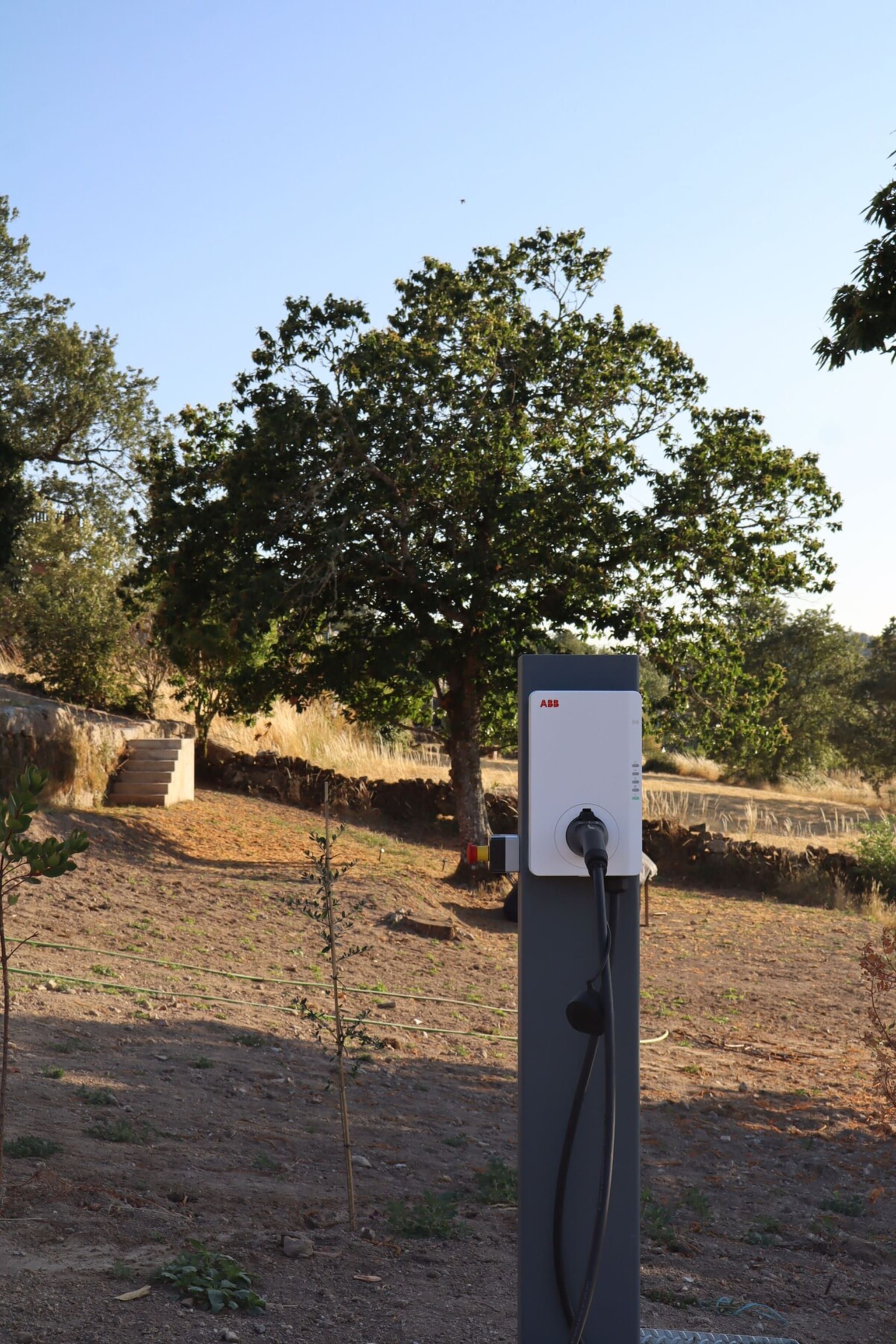 Una estación de carga para vehículos eléctricos al aire libre, con un árbol de fondo.
