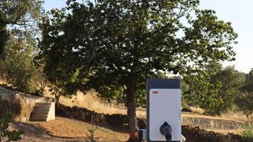 Una estación de carga para vehículos eléctricos al aire libre, con un árbol de fondo.