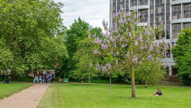 A park with a walking path, trees, and a building in the background. - New Kensington High Street Studio with AC (Greater London)