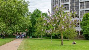 A park with a walking path, trees, and a building in the background. - Stylish New Studio in Kensington with AC (Greater London)