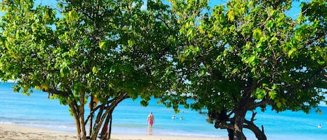 Beach nearby, sun loungers