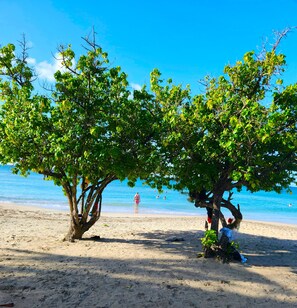 Beach nearby, sun loungers - Coco Antilles Apartment, ocean view, 25 m² covered terrace, beach within walking distance (Sainte-Luce)
