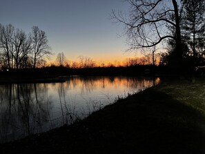 Eine friedliche Uferlandschaft mit Bäumen und blauem Himmel.