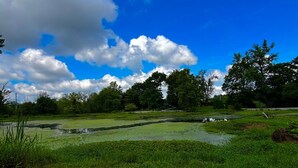 Een park met twee stenen bankjes, een vijver en een helderblauwe lucht met wolken.