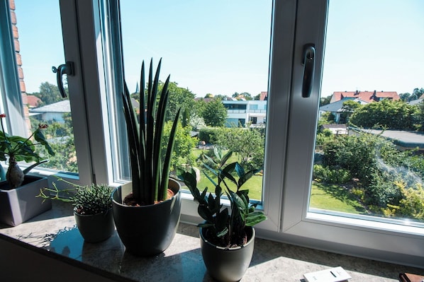 Una ventana con vista a una zona residencial, una planta en maceta y un picaporte.