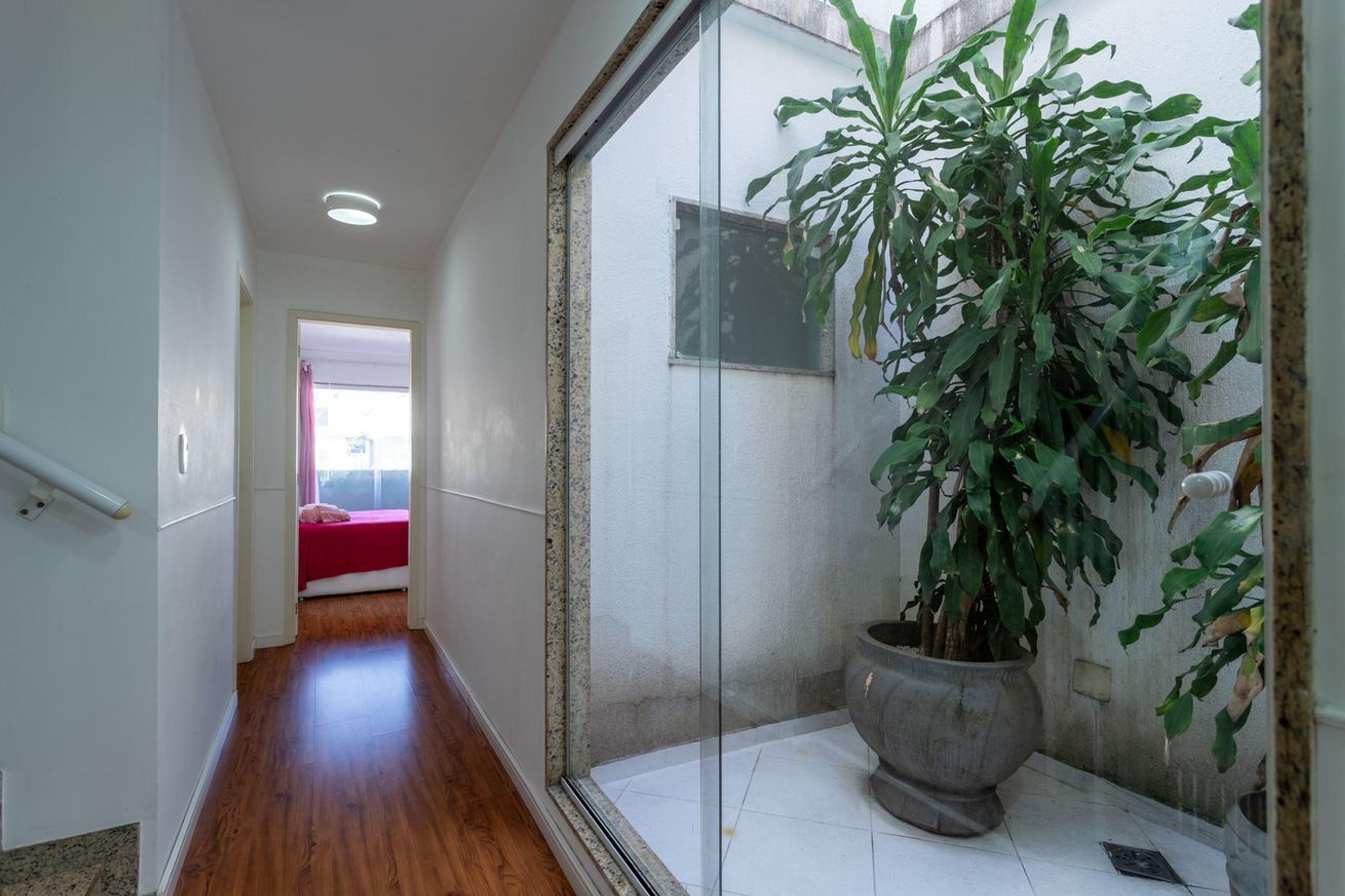 Um corredor com piso de madeira, uma porta de vidro que dá para um quarto com cama vermelha e um vaso de planta grande.