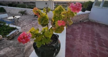Dar janoub