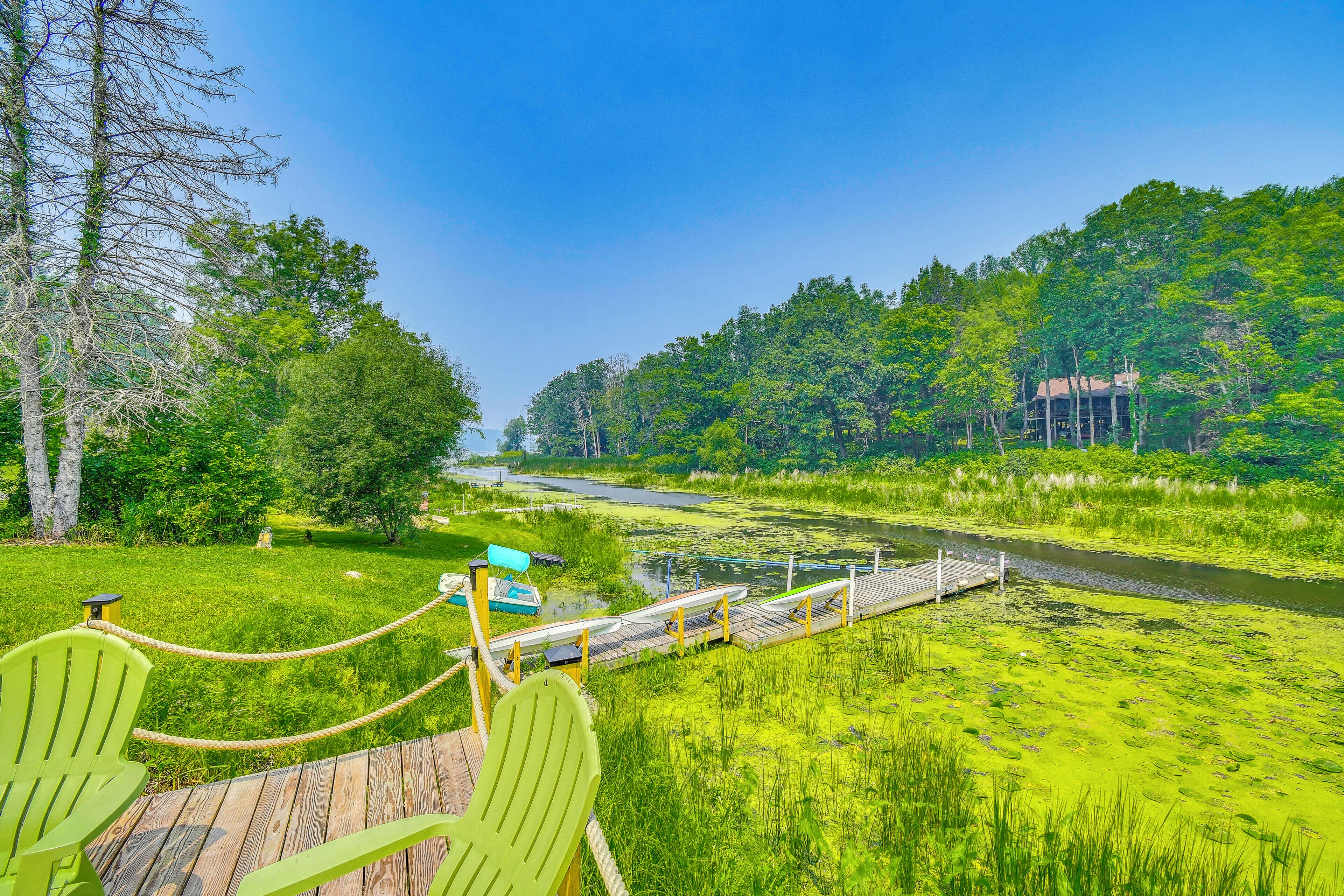 A wooden deck with a rope barrier, a river with lily pads, and a forested area with a building in the distance.