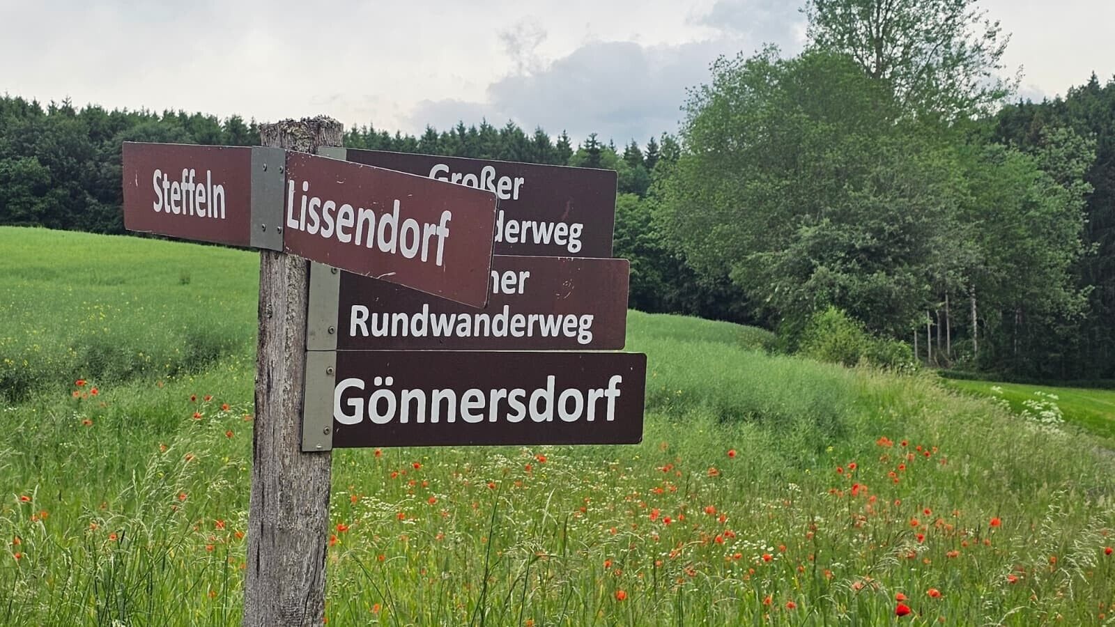 A directional signpost with multiple destinations.