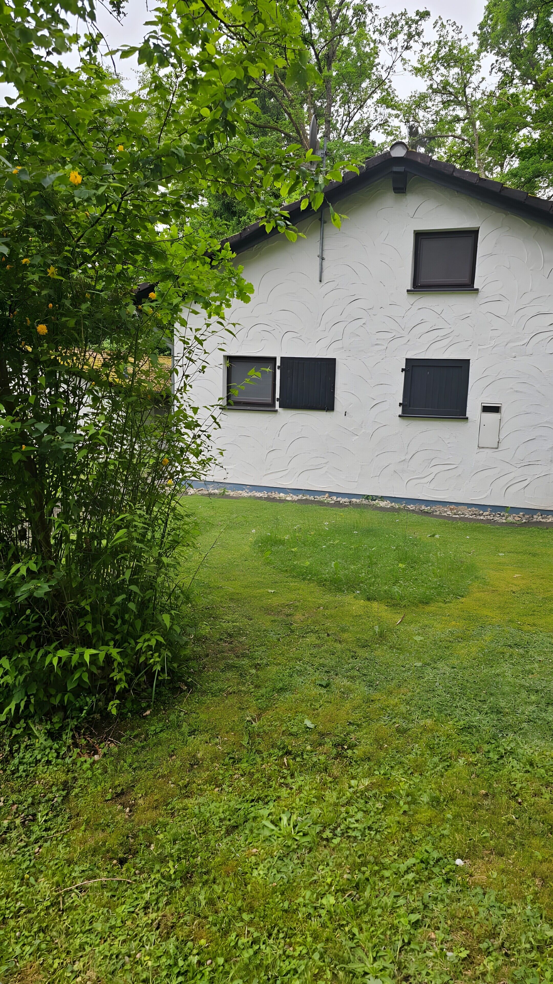 A building with two windows and a door, surrounded by greenery.