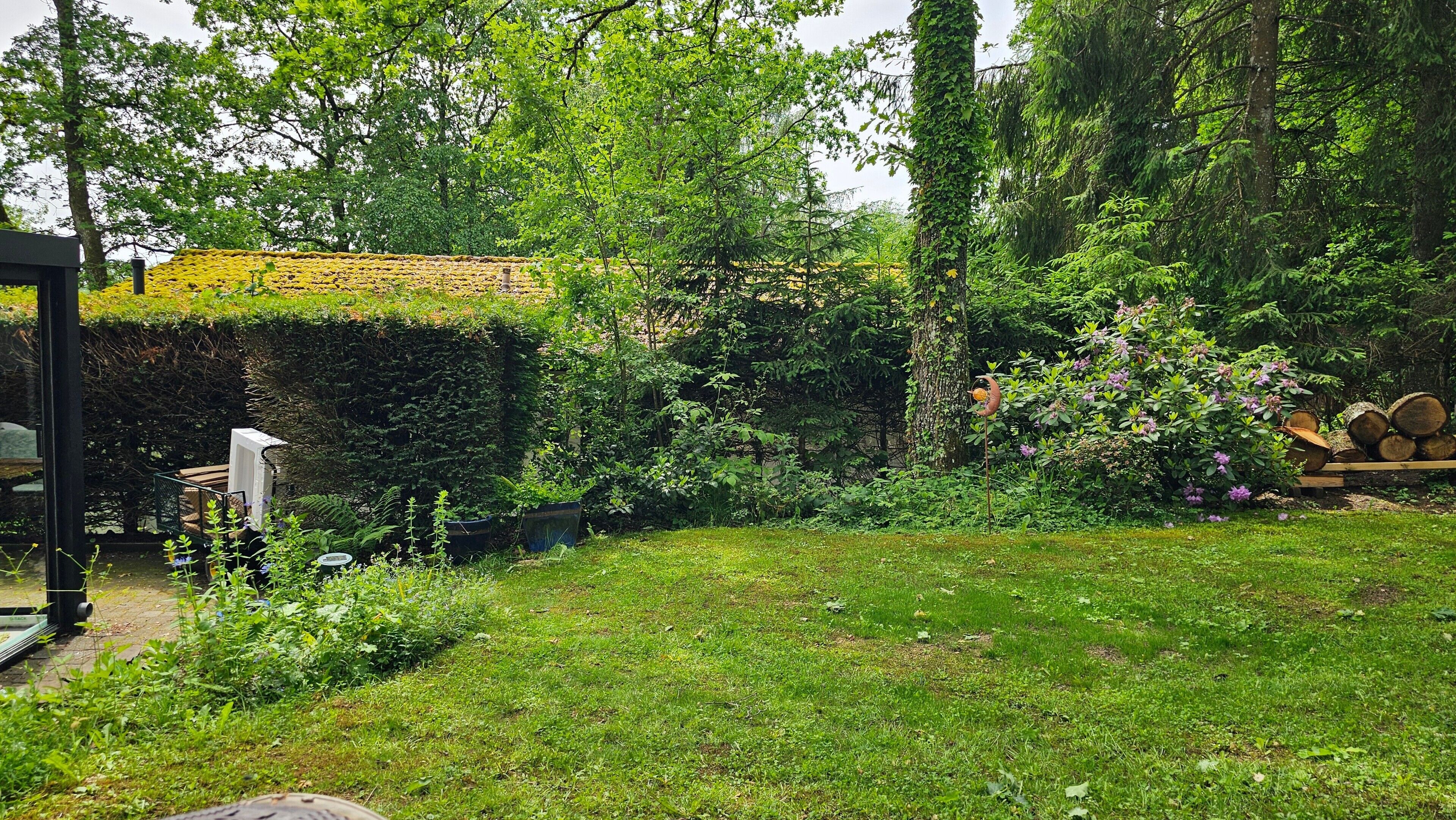Ein üppiger Garten mit vielfältigen Pflanzen und Bäumen, einer Holzterrasse und einem gepflegten Rasen.