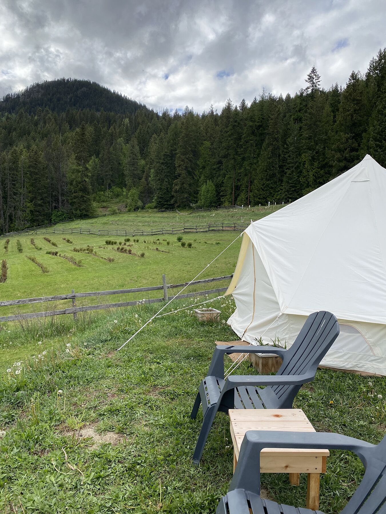 Comfort Tent, Patio, Mountain View | Property grounds